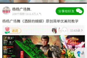 視頻前貼廣告