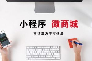 微信小程序商城運(yùn)營(yíng)方案